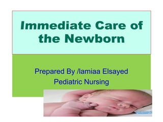 Prepared By /lamiaa Elsayed
     Pediatric Nursing



       Immediate care of newborn   1
 