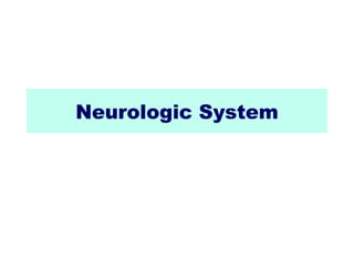 Neurologic System
 