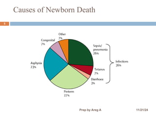 Causes of Newborn Death
5
11/21/24
Prep by Areg A
 