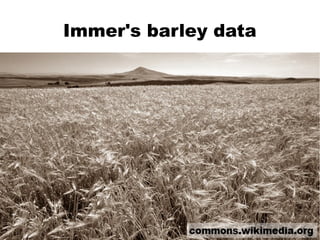 Immer's barley data
 