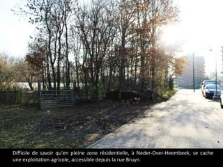 Difficile de savoir qu'en pleine zone résidentielle, à Neder-Over-Heembeek, se cache
une exploitation agricole, accessible depuis la rue Bruyn.

 