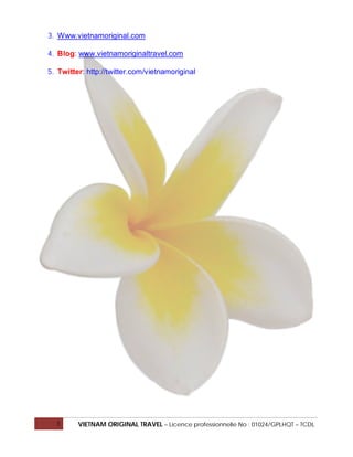 3. Www.vietnamoriginal.com

4. Blog: www.vietnamoriginaltravel.com

5. Twitter: http://twitter.com/vietnamoriginal




  3      VIETNAM ORIGINAL TRAVEL – Licence professionnelle No : 01024/GPLHQT – TCDL
 