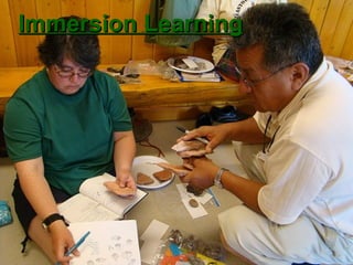 Immersion Learning 