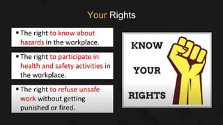 Your Rights
 