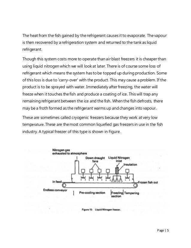 Immersion & spray freezer