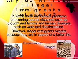 Why do African illegal immigrants migrate? <ul><li>In Africa there are various problems concerning natural disasters such ...