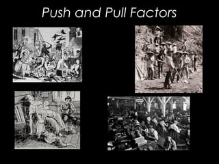 Push and Pull Factors
 