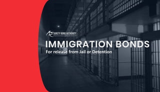 IMMIGRATION BONDS
For release from Jail or Detention
 