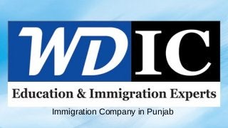 Immigration Company in Punjab
 