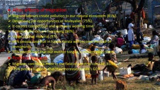  After effects of migration
 Migrant labours create pollution to our natural ecosystem (81%).
 Decreasing job opportunities of Malayalies (75%).
 It creates competition and increases working time.
 Criminal offences are increasing (90%).
 Usage of drug material (87).
 64% people said that in future Kerala will become the Gulf of
immigrants.
 53% people says that our mother tongue is influenced by them.
 Positive impacts
 Migrants contribute more in the field of construction site (81%).
 35% people suggests that they increases Kerala’s GDP.
 