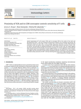 Immunology Letters 157 (2014) 16–22
Contents lists available at ScienceDirect
Immunology Letters
journal homepage: www.elsevier.com/locate/immlet
Proximity of TCR and its CD8 coreceptor controls sensitivity of T cells
Jessica G. Borgera
, Rose Zamoyskaa
, Dmitry M. Gakamskyb,c,∗
a
Institute of Immunology and Infection Research, The University of Edinburgh, Edinburgh EH9 3JT, UK
b
Institute of Biological Chemistry, Biophysics and Bioengineering, School of Engineering and Physical Sciences, Heriot-Watt University, Edinburgh, EH14
4AS Scotland, UK
c
Collaborative Optical Spectroscopy, Micromanipulation and Imaging Centre COSMIC, School of Physics and Astronomy, The University of Edinburgh,
Mayﬁeld Road, Edinburgh EH9 3JZ, UK
a r t i c l e i n f o
Article history:
Received 30 September 2013
Received in revised form 30 October 2013
Accepted 4 November 2013
Available online 18 November 2013
Keywords:
T cell receptor signalling
CD8 coreceptor
Antigen recognition
Functional avidity maturation
T cell sensitivity
Fluorescence lifetime cross-correlation
microscopy
a b s t r a c t
Spatial organisation of T cell receptor (TCR) and its coreceptor CD8 on the surface of live naïve and
Ag-experienced CD8+
T cells was resolved by ﬂuorescence lifetime cross-correlation microscopy. We
found that exposure of naïve CD8+
T cells to antigen (Ag) causes formation of [TCR, CD8] functional
ensembles on the cell surface which correlated with signiﬁcantly enhanced sensitivity of these cells.
In contrast, TCR and CD8 are randomly distributed on the surface of naïve cells. Our model suggests
that close proximity of TCR and CD8 can increase Ag sensitivity of T cells by signiﬁcant accelerating the
TCR–peptide-major histocompatibility complex (pMHC) binding rate and stabilisation of this complex.
We suggest that the proximity of these primary signalling molecules contributes to the mechanism of
functional avidity maturation of CD8+
T cells by switching them from a low to high sensitivity mode.
© 2013 Elsevier B.V. All rights reserved.
1. Introduction
CD8+ T cells can substantially increase in sensitivity in the course
of immune response by the mechanism of functional avidity mat-
uration [1–3] to provide effective defence from re-infection [4].
The increase in sensitivity of T cells in contrast with B cells is not
caused by the mechanism of somatic hypermutation [5]. Functional
avidity maturation was explained in part by predominant expan-
sion of clones with highest sensitivity to pMHC. However, cells
expressing the same TCR can also increase sensitivity and become
less dependent on CD28 co-stimulatory signal [6]. No correlation
of T cell sensitivity with expression levels of the primary activa-
tion molecules (TCR and CD8) or adhesion molecules (LFA-1, CD2,
CD43 and CD49d) was found [1]. All these ﬁndings suggested that
that functional avidity maturation is caused by permanent changes
Abbreviations: TCR, T cell receptor; NSOM, near-ﬁeld scanning optical
microscopy; EM, electron microscopy; mAb, monoclonal antibody; Ag, antigen; CTL,
cytotoxic T cell lymphocyte; LN, lymph node; FCS, fetal calf serum; APC, antigen
presenting cell.
∗ Corresponding author at: Institute of Biological Chemistry, Biophysics and Bio-
engineering, School of Engineering and Physical Sciences, Heriot-Watt University,
Edinburgh EH14 4AS, Scotland, UK. Tel.: +44 0 131 451 8463.
E-mail addresses: D.Gakamsky@hw.ac.uk, gakamsky@yahoo.com
(D.M. Gakamsky).
in the signal transduction machinery regulating intermolecular
events which follow the TCR–pMHC interaction.
A critical role of Lck association with CD8 has been demon-
strated [7–11]. It was found that Lck mediated phosphorylation of
immunotyrosine-based activation motifs of the cytoplasmatic tails
of the CD3 is necessary for T cell signalling [12]. An important role
for the alpha-chain connecting peptide motif in mediating TCR-CD8
cooperation was also shown [13]
It is noteworthy that in vitro stimulation of naïve T cells substan-
tially increases the spatial coordination of the CD8 coreceptor and
Lck which leads to more efﬁcient organisation of the TCR signalling
machinery [14]. In addition, co-capping CD8/TCR experiments
suggested that optimal colocalisation of TCR and CD8 controls func-
tional avidity of T cells [15].
Our earlier real-time data on tetramer association with T cell
clones and hybridomas [16,17] led us to suggest a kinetic promo-
tion mechanism of CD8 cooperation which requires a colocalisation
of TCR and CD8 on the cell surface which was named the prox-
imity model. We also found that CD8 can signiﬁcantly stabilise
the formed TCR–pMHC complex. Disruption of rafts in the cellular
membrane signiﬁcantly slowed down the rate of tetramer asso-
ciation with T cells suggesting that the functional TCR and CD8
complexes reside in the cholesterol-rich domains [16]. Other stud-
ies investigating the involvement of CD8 in ﬁne tuning of T cell
sensitivity came to similar conclusions: namely that CD8 can inﬂu-
ence both the TCR–pMHC association and dissociation rate and
0165-2478/$ – see front matter © 2013 Elsevier B.V. All rights reserved.
http://dx.doi.org/10.1016/j.imlet.2013.11.005
 