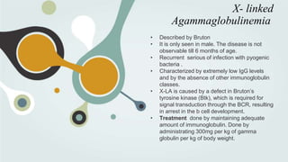 X- linked
Agammaglobulinemia
• Described by Bruton
• It is only seen in male. The disease is not
observable till 6 months of age.
• Recurrent serious of infection with pyogenic
bacteria .
• Characterized by extremely low IgG levels
and by the absence of other immunoglobulin
classes.
• X-LA is caused by a defect in Bruton’s
tyrosine kinase (Btk), which is required for
signal transduction through the BCR, resulting
in arrest in the b cell development.
• Treatment done by maintaining adequate
amount of immunoglobulin. Done by
administrating 300mg per kg of gamma
globulin per kg of body weight.
 