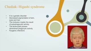 Chediak- Higashi syndrome
• It is a genetic disorder
• Decreased pigmentation of skin,
eyes and hair.
• The inclusion maybe the result
of autophagocytic activity.
• The leukocytes posses
diminished phagocytic activity.
• Pyogenic infections
 