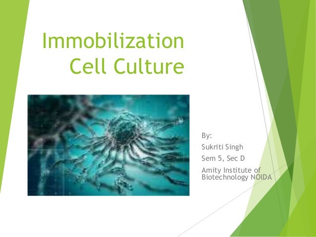 Immobilisation Cell Culture