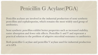 Penicillin G Acylase(PGA)
Penicillin acylases are involved in the industrial production of semi synthetic
penicillins and cephalosporins, which remains the most widely used group of
antibiotics
.

Semi synthetic pencillins exhibit better properties such as increased stability,
easier absorption and fewer side e
ff
ects. Penicillin G and V and represent a
practical solution to the problem of adaptive microbial resistance to antibiotics
.

Both penicillin G acylase and penicillin V acylase used for industrial production
of 6-APA
 