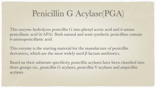 Penicillin G Acylase(PGA)
This enzyme hydrolyzes penicillin G into phenyl acetic acid and 6-amino
penicillanic acid (6-APA). Both natural and semi-synthetic penicillins contain
6-aminopenicillanic acid
.

This enzyme is the starting material for the manufacture of penicillin
derivatives, which are the most widely used β-lactam antibiotics
.

Based on their substrate speci
fi
city, penicillin acylases have been classi
fi
ed into
three groups viz., penicillin G-acylases, penicillin-V-acylases and ampicillin
acylases
 