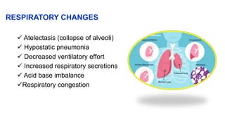 RESPIRATORY CHANGES
 Atelectasis (collapse of alveoli)
 Hypostatic pneumonia
 Decreased ventilatory effort
 Increased respiratory secretions
 Acid base imbalance
Respiratory congestion
 