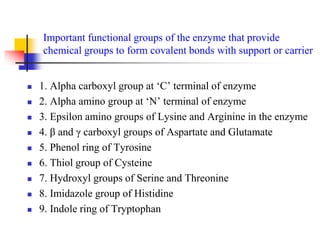 Important functional groups of the enzyme that provide
chemical groups to form covalent bonds with support or carrier
 1. Alpha carboxyl group at ‘C’ terminal of enzyme
 2. Alpha amino group at ‘N’ terminal of enzyme
 3. Epsilon amino groups of Lysine and Arginine in the enzyme
 4. β and γ carboxyl groups of Aspartate and Glutamate
 5. Phenol ring of Tyrosine
 6. Thiol group of Cysteine
 7. Hydroxyl groups of Serine and Threonine
 8. Imidazole group of Histidine
 9. Indole ring of Tryptophan
 