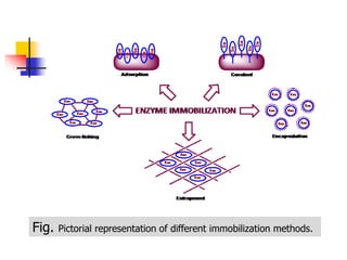 Fig. Pictorial representation of different immobilization methods.
 