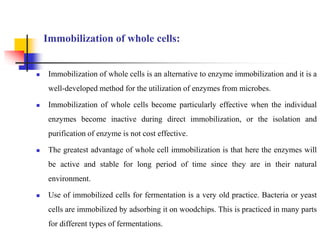 Immobilization of whole cells:
 Immobilization of whole cells is an alternative to enzyme immobilization and it is a
well-developed method for the utilization of enzymes from microbes.
 Immobilization of whole cells become particularly effective when the individual
enzymes become inactive during direct immobilization, or the isolation and
purification of enzyme is not cost effective.
 The greatest advantage of whole cell immobilization is that here the enzymes will
be active and stable for long period of time since they are in their natural
environment.
 Use of immobilized cells for fermentation is a very old practice. Bacteria or yeast
cells are immobilized by adsorbing it on woodchips. This is practiced in many parts
for different types of fermentations.
 
