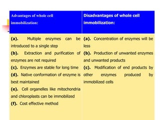 Advantages of whole cell
immobilization:
Disadvantages of whole cell
immobilization:
(a). Multiple enzymes can be
introduced to a single step
(b). Extraction and purification of
enzymes are not required
(c). Enzymes are stable for long time
(d). Native conformation of enzyme is
best maintained
(e). Cell organelles like mitochondria
and chloroplasts can be immobilized
(f). Cost effective method
(a). Concentration of enzymes will be
less
(b). Production of unwanted enzymes
and unwanted products
(c). Modification of end products by
other enzymes produced by
immobilized cells
 