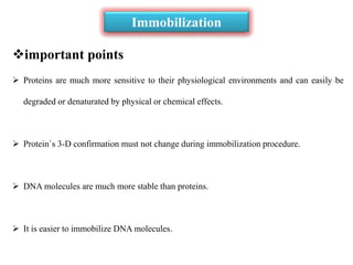 important points
 Proteins are much more sensitive to their physiological environments and can easily be
degraded or denaturated by physical or chemical effects.
 Protein`s 3-D confirmation must not change during immobilization procedure.
 DNA molecules are much more stable than proteins.
 It is easier to immobilize DNA molecules.
Immobilization
 