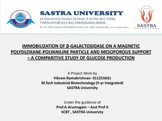 IMMOBILIZATION OF β-GALACTOSIDASE ON A MAGNETIC
POLYSILOXANE-POLYANILINE PARTICLE AND MESOPOROUS SUPPORT
       – A COMPARITIVE STUDY OF GLUCOSE PRODUCTION


                           A Project Work by
                  Vikram Ramakrishnan- 011255031
            M.Tech Industrial Biotechnology (5-yr Integrated)
                           SASTRA University


                         Under the guidance of
                    Prof.A.Arumugam – Asst Prof II
                       SCBT , SASTRA University
 