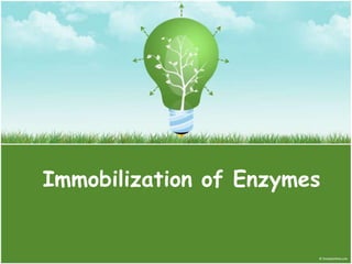 Immobilization of Enzymes
 