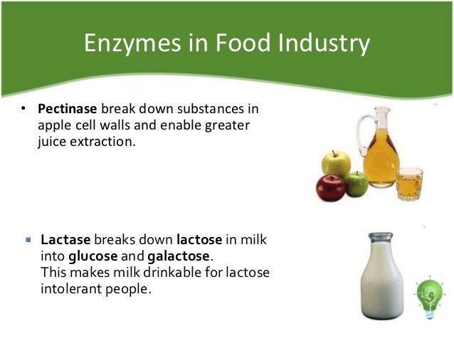 Research papers on enzymes
