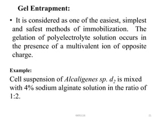 Immobilization of enzymes and cells | PPTX
