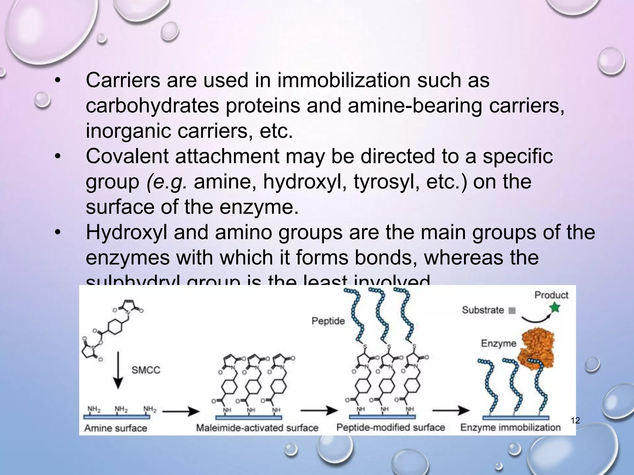 • Carriers are used in immobilization such as
carbohydrates proteins and amine-bearing carriers,
inorganic carriers, etc.
• Covalent attachment may be directed to a specific
group (e.g. amine, hydroxyl, tyrosyl, etc.) on the
surface of the enzyme.
• Hydroxyl and amino groups are the main groups of the
enzymes with which it forms bonds, whereas the
sulphydryl group is the least involved.
12
 