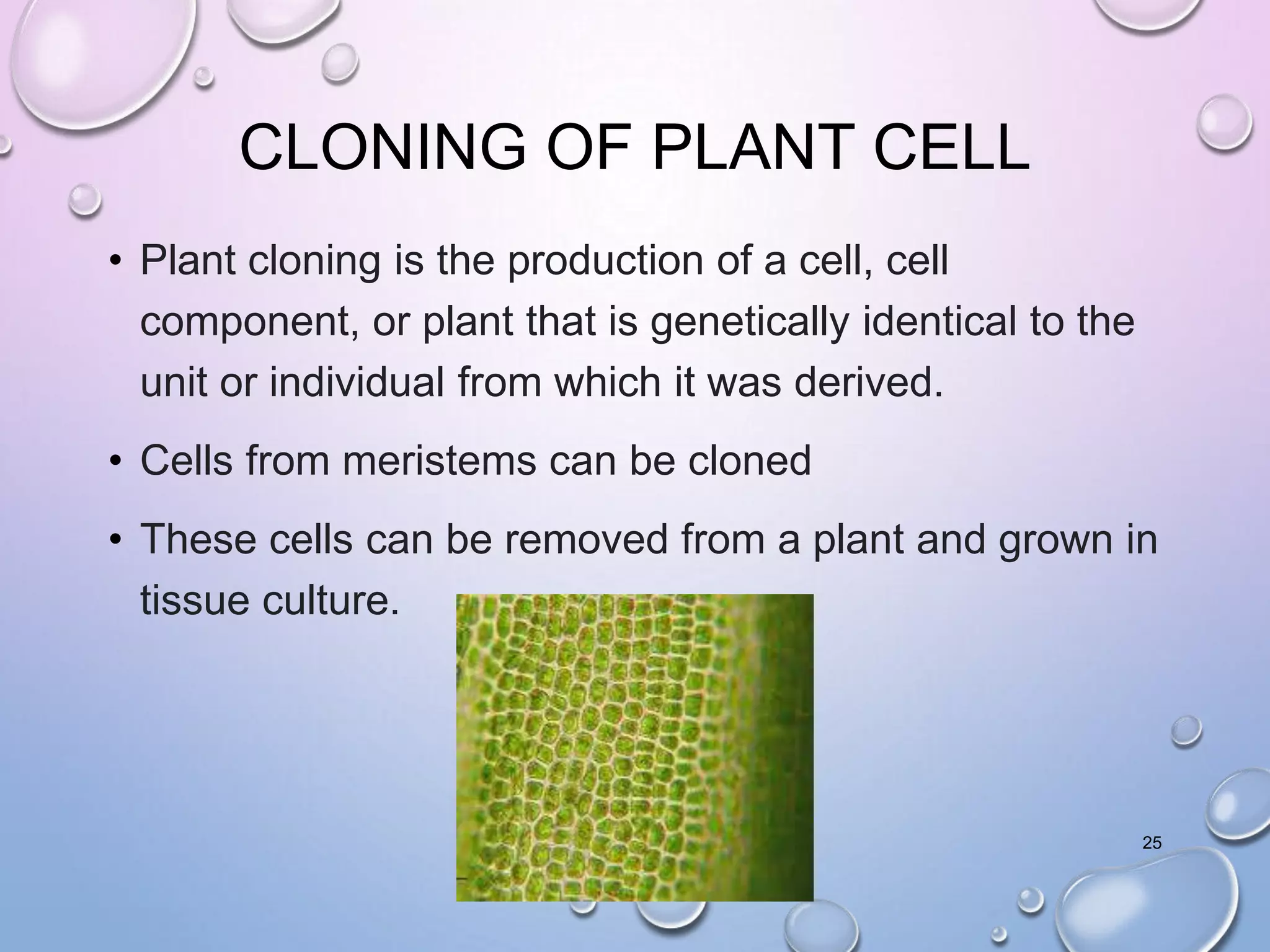 CLONING OF PLANT CELL
• Plant cloning is the production of a cell, cell
component, or plant that is genetically identical to the
unit or individual from which it was derived.
• Cells from meristems can be cloned
• These cells can be removed from a plant and grown in
tissue culture.
25
 
