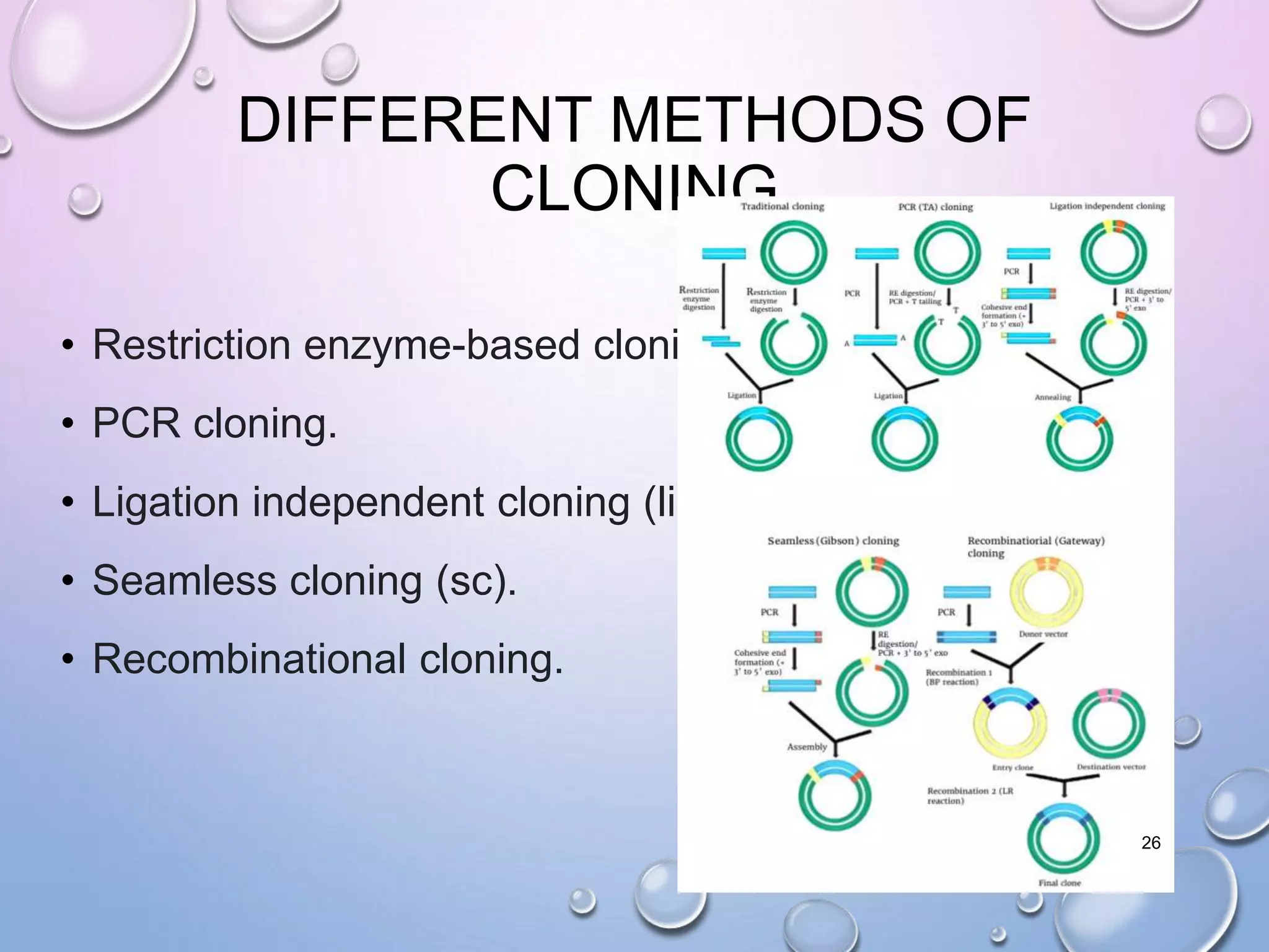 DIFFERENT METHODS OF
CLONING
• Restriction enzyme-based cloning.
• PCR cloning.
• Ligation independent cloning (lic)
• Seamless cloning (sc).
• Recombinational cloning.
26
 