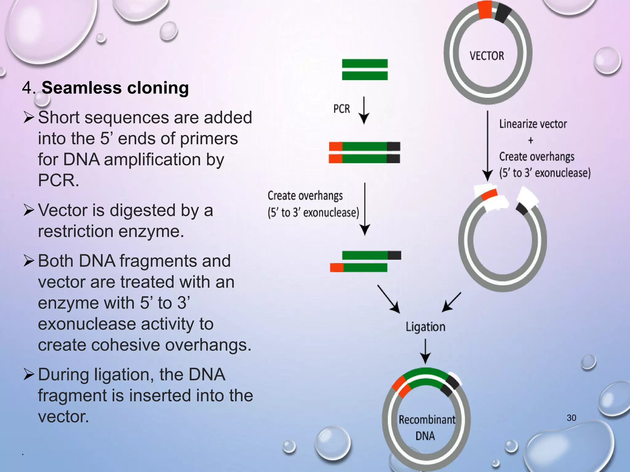 4. Seamless cloning
Short sequences are added
into the 5’ ends of primers
for DNA amplification by
PCR.
Vector is digested by a
restriction enzyme.
Both DNA fragments and
vector are treated with an
enzyme with 5’ to 3’
exonuclease activity to
create cohesive overhangs.
During ligation, the DNA
fragment is inserted into the
vector.
•
30
 