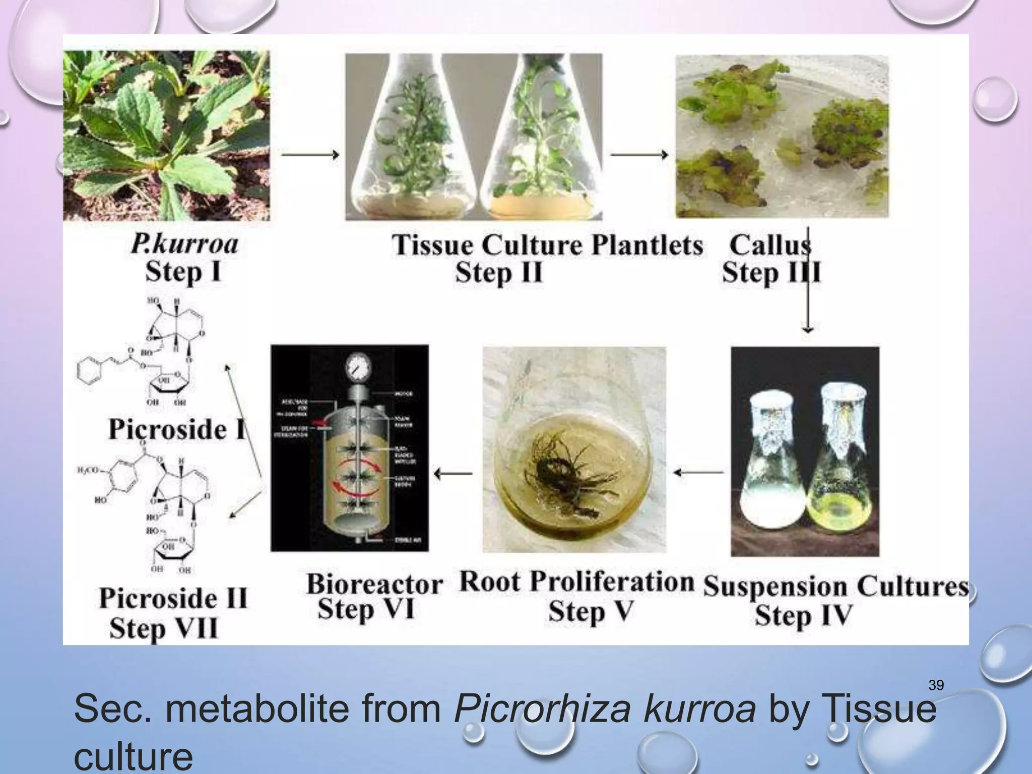 Sec. metabolite from Picrorhiza kurroa by Tissue
culture
39
 
