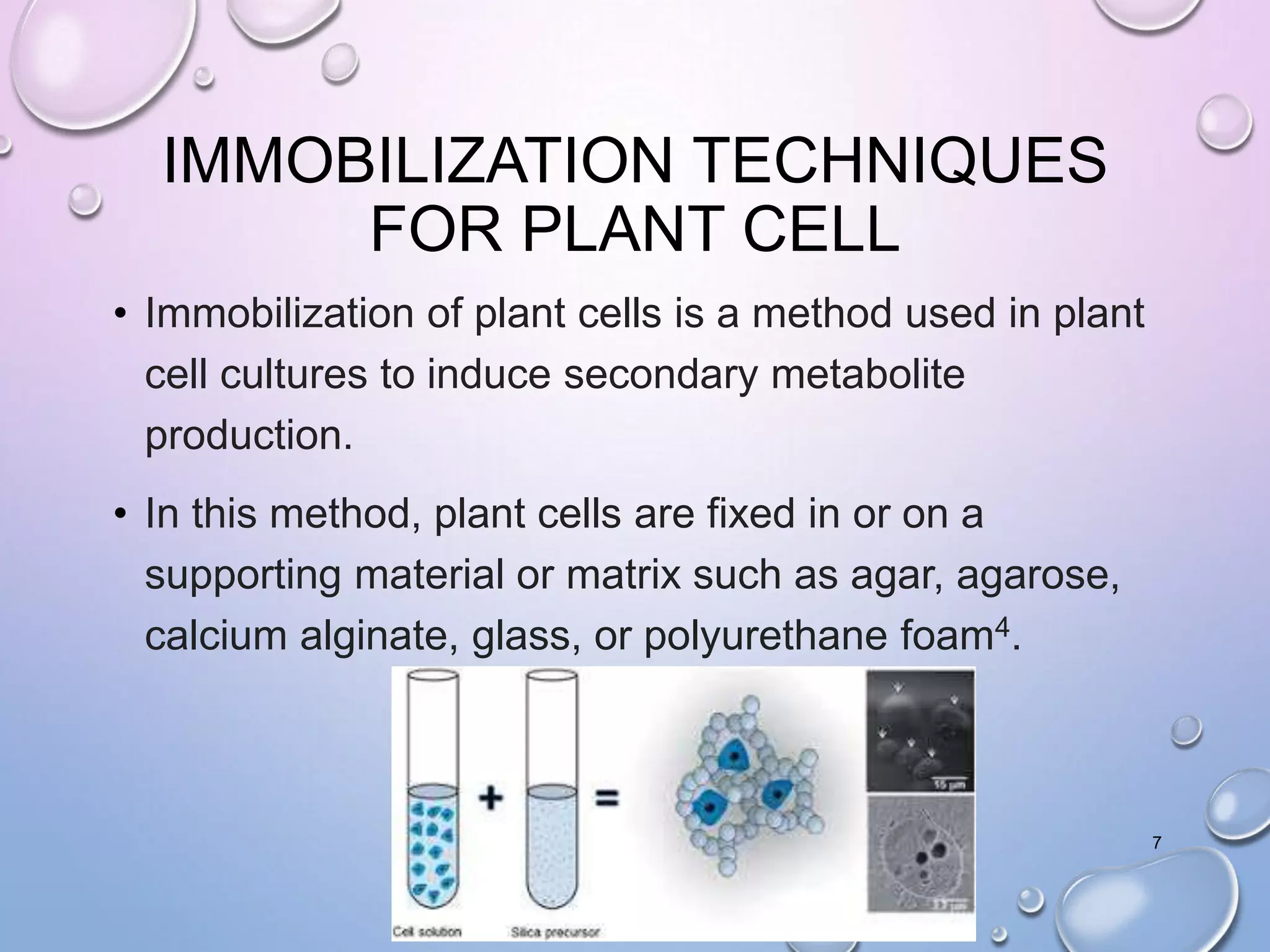 IMMOBILIZATION TECHNIQUES
FOR PLANT CELL
• Immobilization of plant cells is a method used in plant
cell cultures to induce secondary metabolite
production.
• In this method, plant cells are fixed in or on a
supporting material or matrix such as agar, agarose,
calcium alginate, glass, or polyurethane foam4.
7
 
