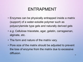 ENTRAPMENT
• Enzymes can be physically entrapped inside a matrix
(support) of a water-soluble polymer such as
polyacrylamide type gels and naturally derived gels
• e.g. Cellulose triacetate, agar, gelatin, carrageenan,
alginate, etc.
• The form and nature of the matrix vary.
• Pore size of the matrix should be adjusted to prevent
the loss of enzyme from the matrix due to excessive
diffusion. 14
 