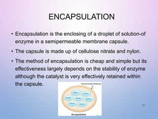 ENCAPSULATION
• Encapsulation is the enclosing of a droplet of solution-of
enzyme in a semipermeable membrane capsule.
• The capsule is made up of cellulose nitrate and nylon.
• The method of encapsulation is cheap and simple but its
effectiveness largely depends on the stability of enzyme
although the catalyst is very effectively retained within
the capsule.
17
 