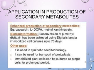 APPLICATION IN PRODUCTION OF
SECONDARY METABOLITES
22
 