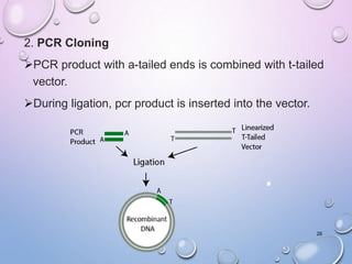 2. PCR Cloning
PCR product with a-tailed ends is combined with t-tailed
vector.
During ligation, pcr product is inserted into the vector.
28
 