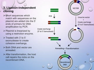 3. Ligation-independent
cloning
 Short sequences which
match with sequences on the
plasmid are added into the 5’
ends of primers for DNA
amplification by PCR.
 Plasmid is linearized by
using a restriction enzyme.
 Treated with 3’ to 5’
exonuclease to create
cohesive overhangs.
 Both DNA and vector are
annealed.
 After transformation, the host
cell repairs the nicks on the
recombinant DNA.
29
 