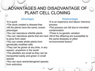 ADVANTAGES AND DISADVANTAGE OF
PLANT CELL CLONING
Advantages
•It is quick
•The stock created is disease-free
•All the plants have the same, known
phenotype
•You can reproduce infertile plants
•You can reproduce plants that are hard
to grow from seed
•You can create whole plants from
genetically modified cells
•They can be grown at any time, in any
season, anywhere in the world
•The plantlets are small so they can be
transported easily and grown in small
spaces
•You can save rare/endangered species
from extinction
Disadvantages
•It is an expensive and labour intensive
process
•The process can fail due to microbial
contamination
•There is no genetic variation
•All of the offspring are susceptible to
the same diseases or other
environmental factors
7
.
32
 