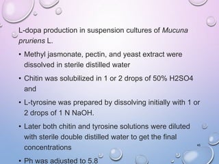 L-dopa production in suspension cultures of Mucuna
pruriens L.
• Methyl jasmonate, pectin, and yeast extract were
dissolved in sterile distilled water
• Chitin was solubilized in 1 or 2 drops of 50% H2SO4
and
• L-tyrosine was prepared by dissolving initially with 1 or
2 drops of 1 N NaOH.
• Later both chitin and tyrosine solutions were diluted
with sterile double distilled water to get the final
concentrations
• Ph was adjusted to 5.8
45
 