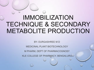 IMMOBILIZATION
TECHNIQUE & SECONDARY
METABOLITE PRODUCTION
BY- DURGASHREE M D
MEDICINAL PLANT BIOTECHNOLOGY
M PHARM, DEPT OF PHARMACOGNOSY
KLE COLLEGE OF PHARMACY, BENGALURU
1
 