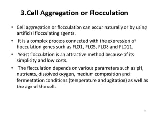 Immobilized cell technology | PPTX | Chemistry | Science