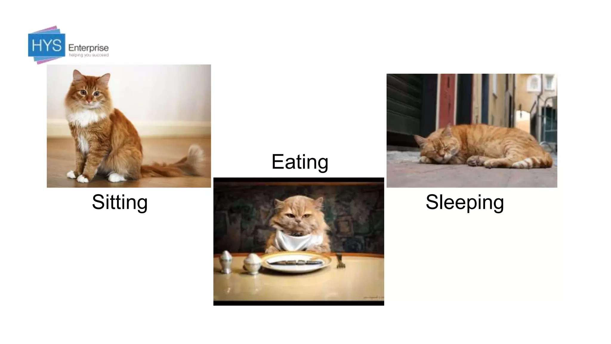 Sitting
Eating
Sleeping
 