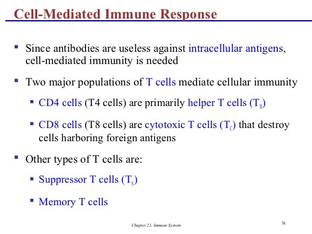 Flow Chart Of Cell Mediated Immunity