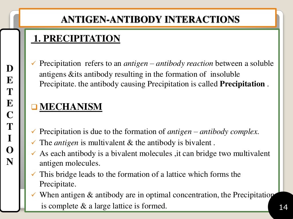 antigen antibody interaction