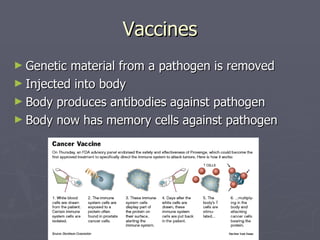 Pathogenic Material Immune System | PPT