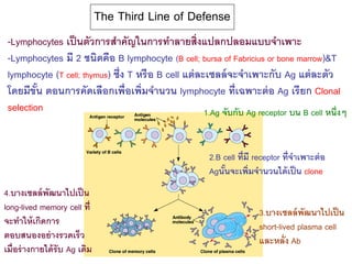 ชีววิทยาเรื่องระบบภูมิคุ้มกัน Immune system | PDF